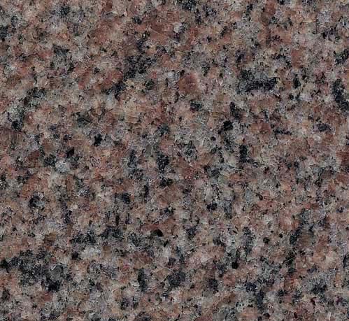 Sesame Red-China granite tiles Prefabricated Slabs Vanity tops